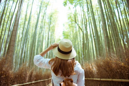 Connectez-vous avec la nature 4 exercices / Bien-être