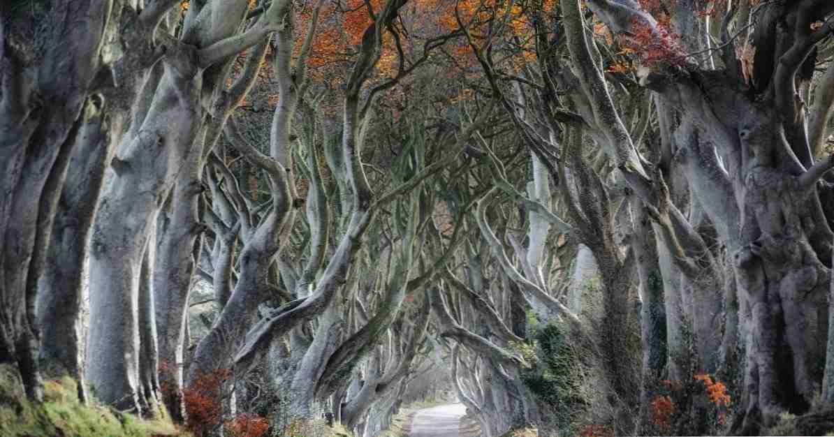 10 Ierse legendes vol mythologie en folklore / cultuur