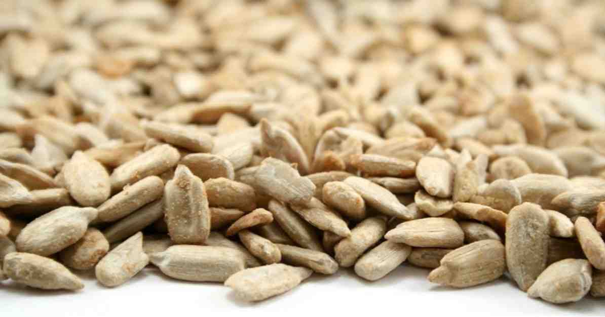 11 avantages et propriétés des graines de tournesol