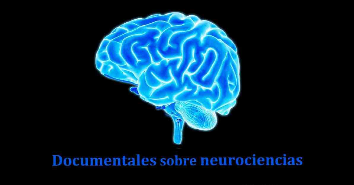 12 documentários sobre neurociências e neuropsicologia / Cultura