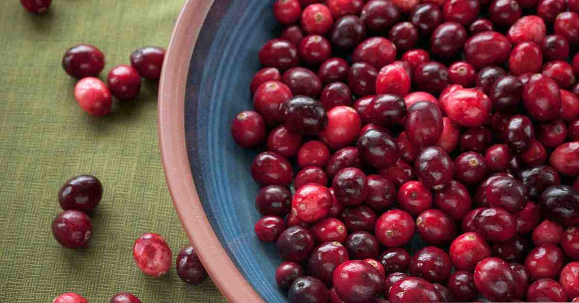 14 eigenschappen en voordelen van cranberry