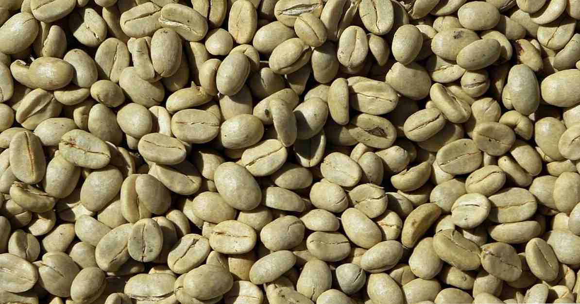 16 fördelar och egenskaper hos grönt kaffe