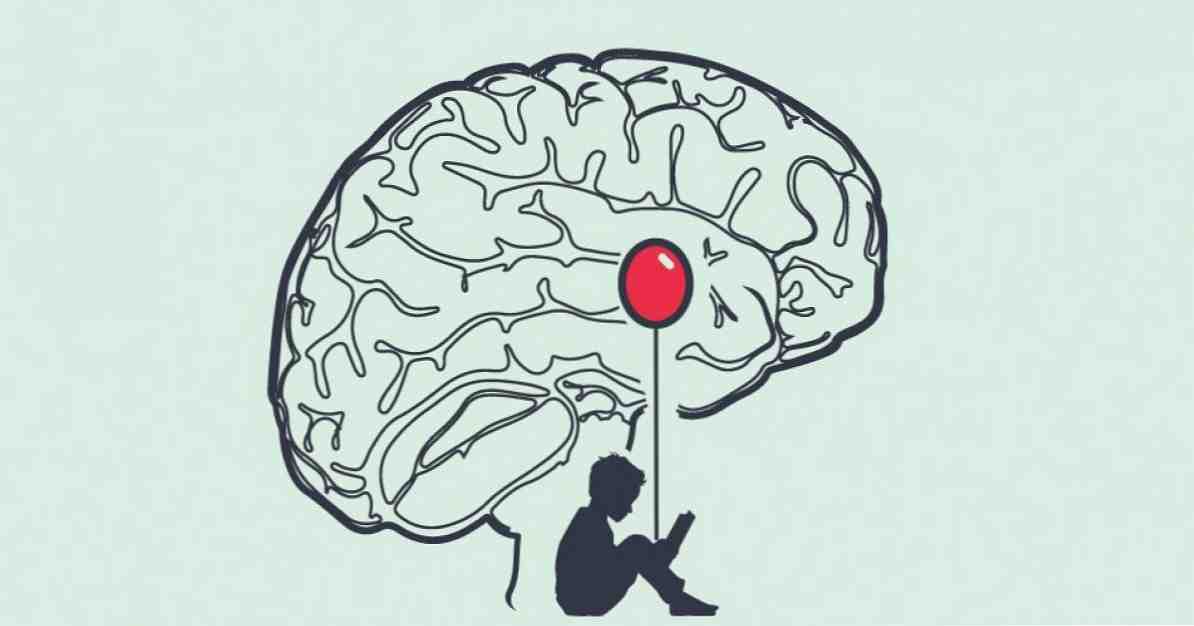 Struttura e funzioni dell'amigdala / neuroscienze