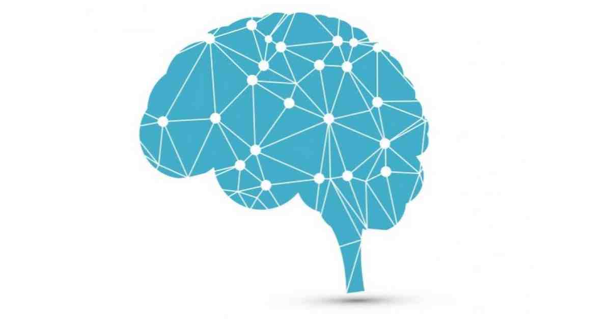 Duas consciências aparecem ao dividir o cérebro? / Neurociências