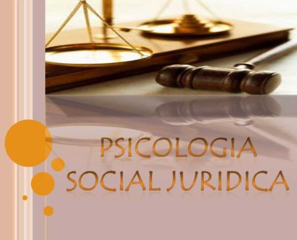 Application de la psychologie sociale au domaine juridique / Psychologie sociale et organisationnelle