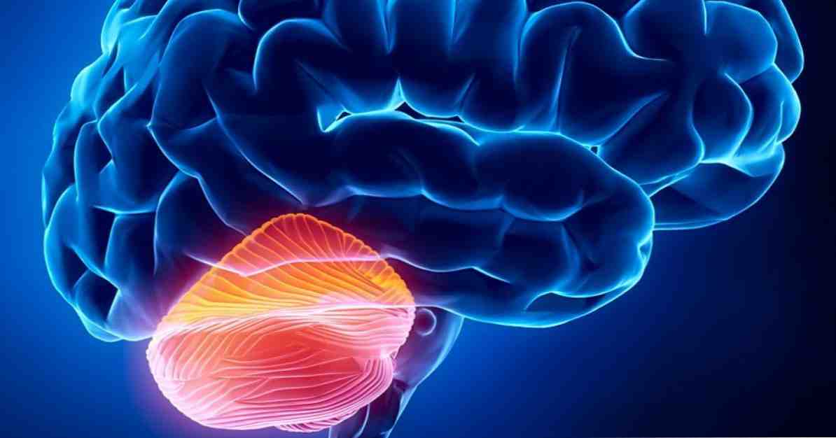 Aksaksijas cēloņi, simptomi un ārstēšana / Neiroloģijas