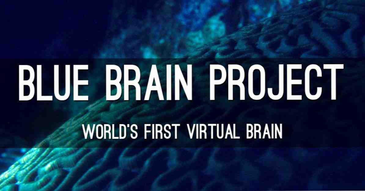 Mėlyna smegenų projektas atkuria smegenis, kad geriau suprastų / Neurologijos