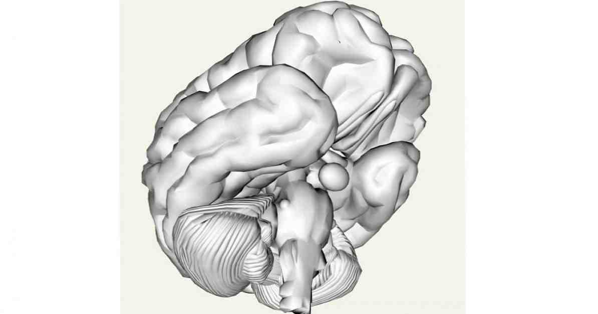 Kaip stresas veikia smegenis? / Neurologijos