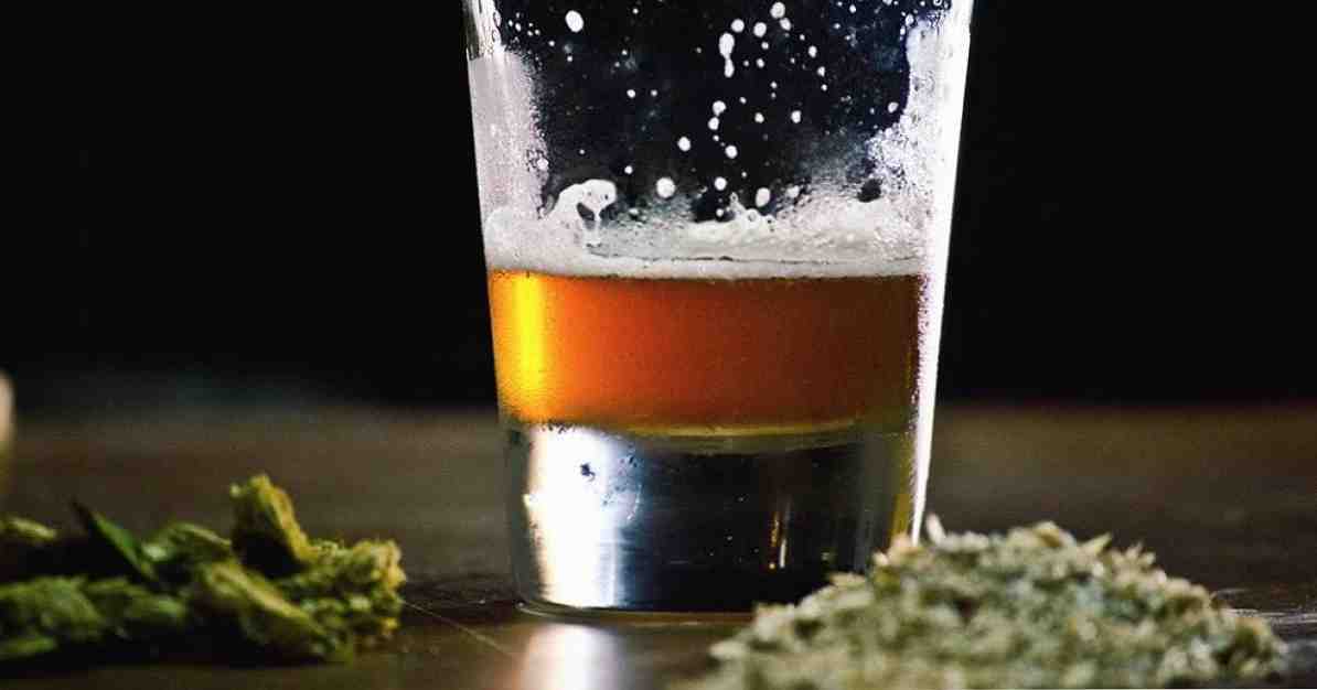 La combinaison de l'alcool et de la marijuana a ces effets sur le cerveau / Drogues et dépendances