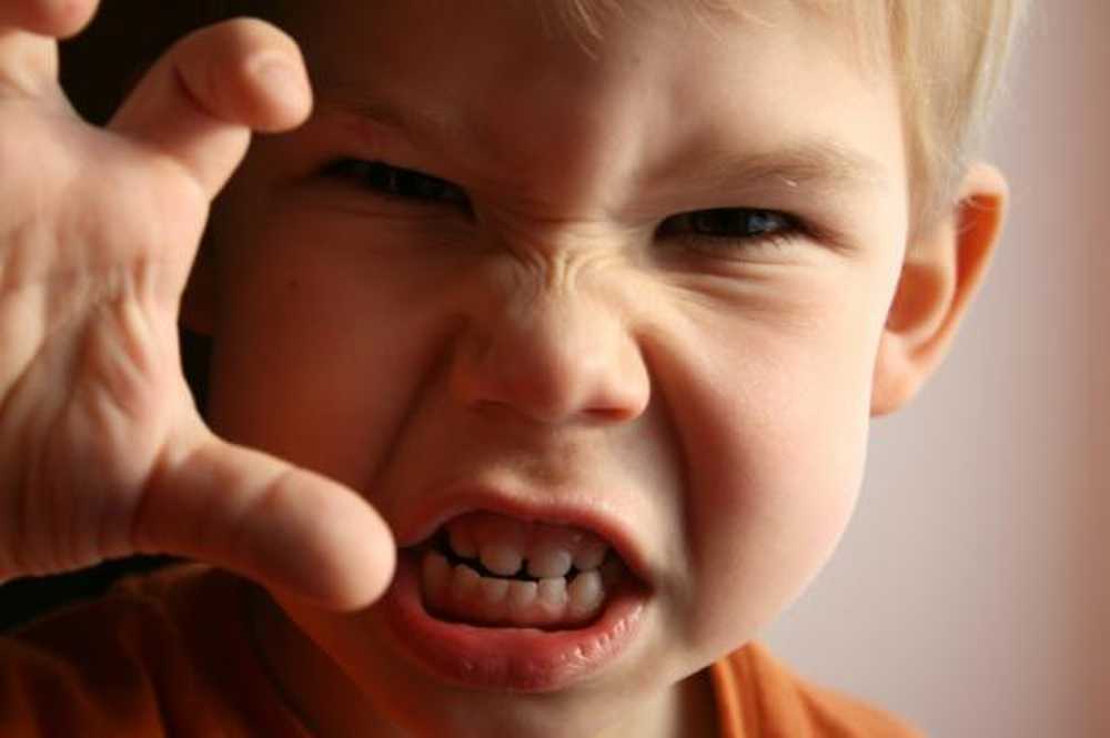 Comportamentul agresiv în copilărie