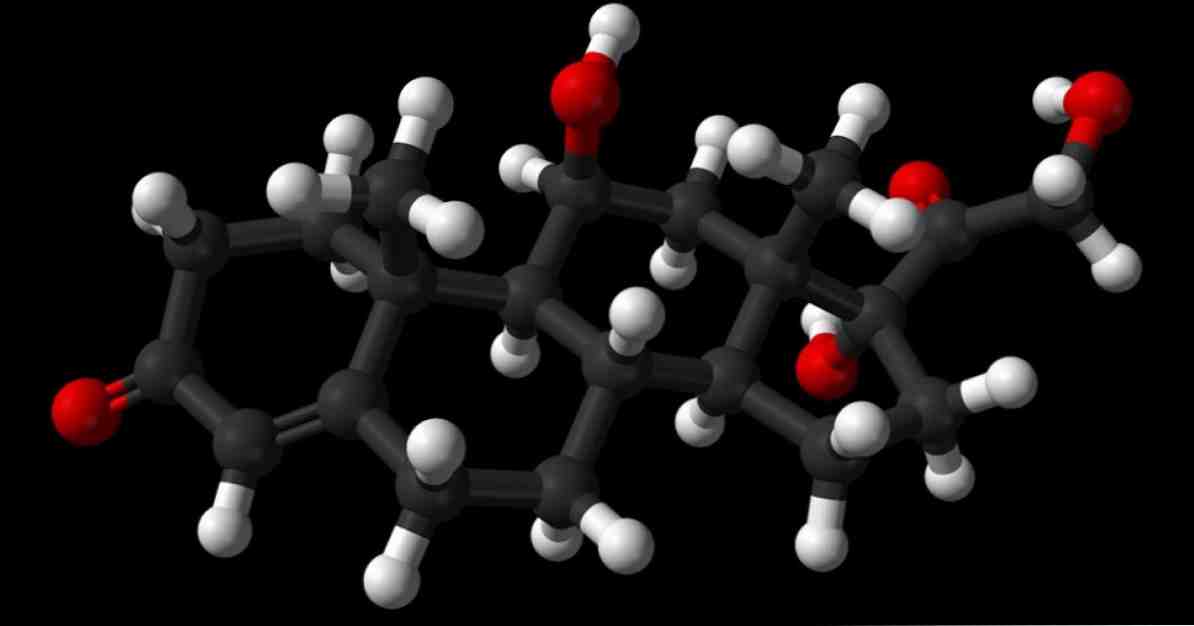 Кортизол, хормон који ствара стрес / Неуросциенцес