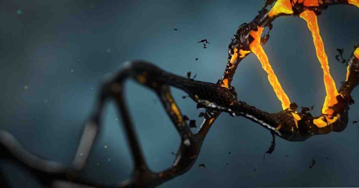 Scoperto un gene correlato all'invecchiamento cerebrale / neuroscienze