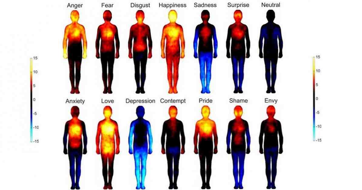 Cari peta badan emosi / Neurosains