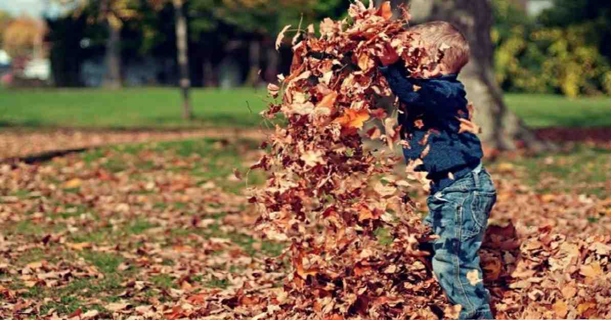 Nedostatek pozornosti nebo selektivní pozornost při ADHD