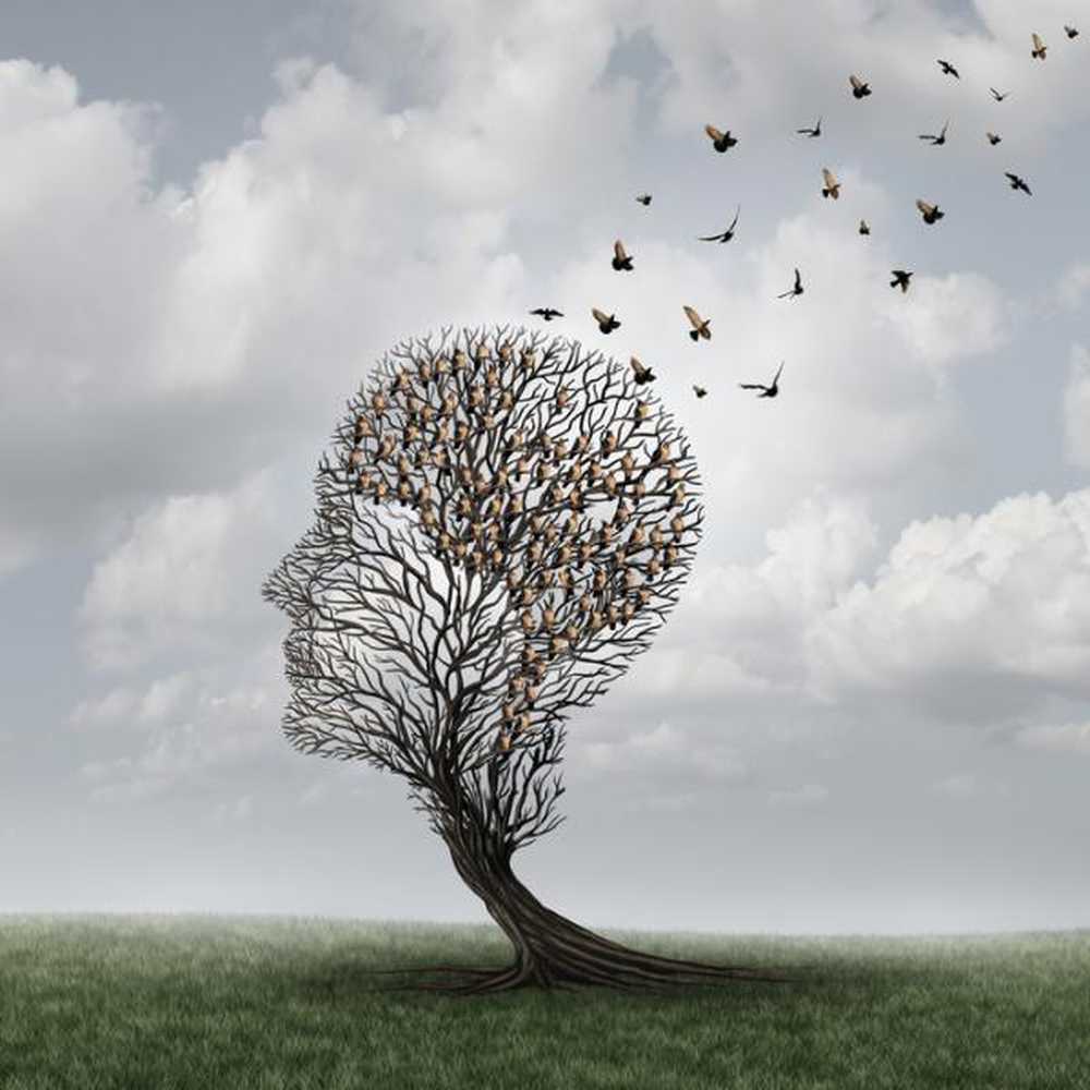 Alzheimer ve senil demans arasındaki fark / Klinik psikoloji