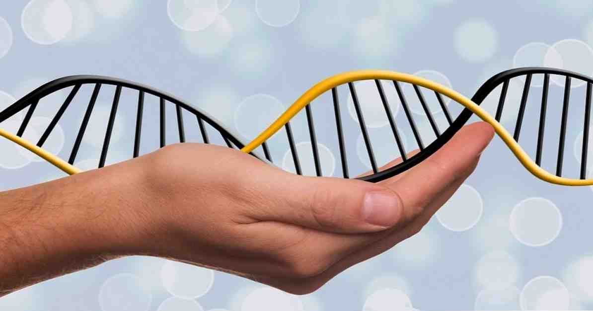 الاختلافات بين الحمض النووي والحمض النووي الريبي / الطب والصحة