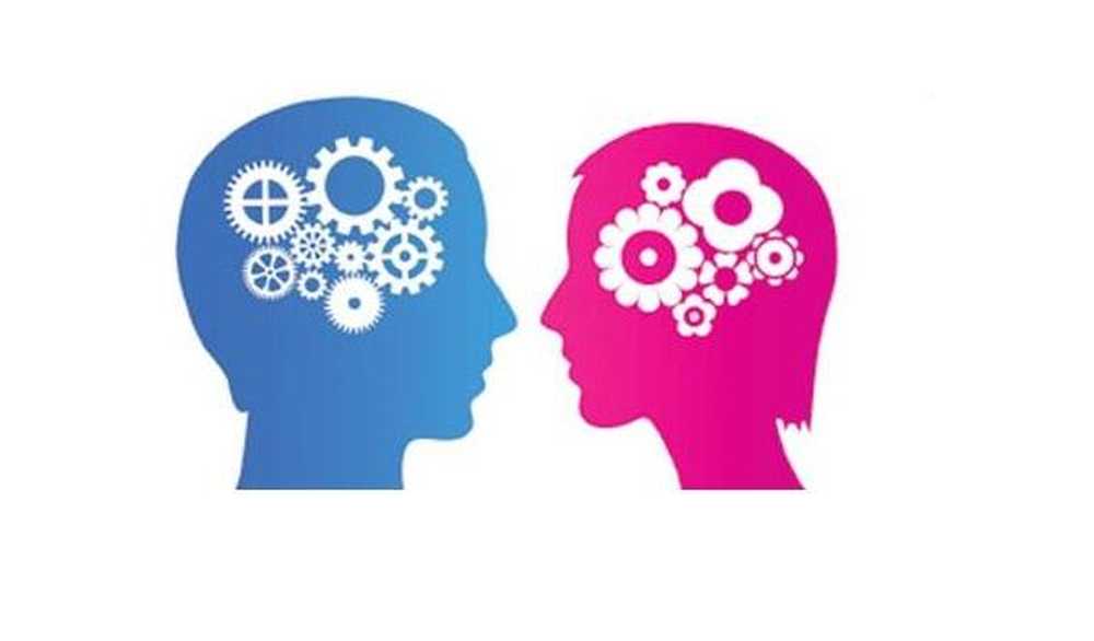 Forskjeller mellom den mannlige og kvinnelige hjernen
