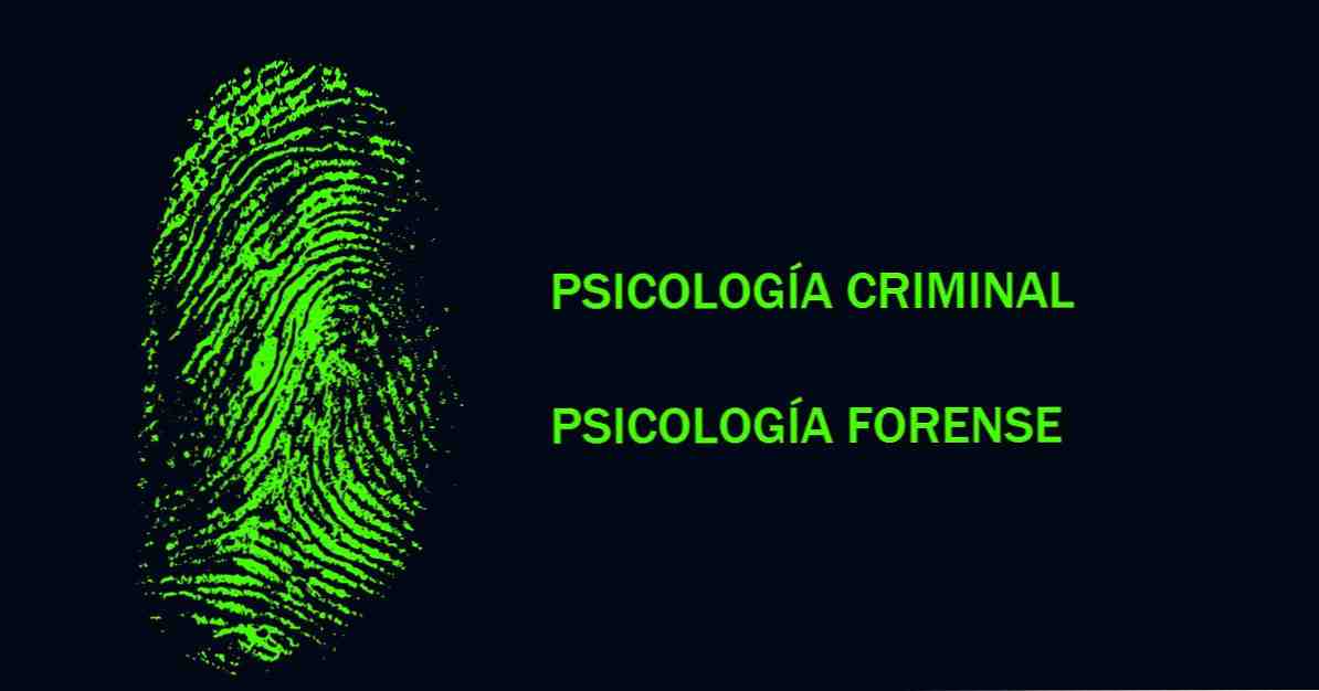 Rozdíly mezi kriminální psychologií a soudní psychologií