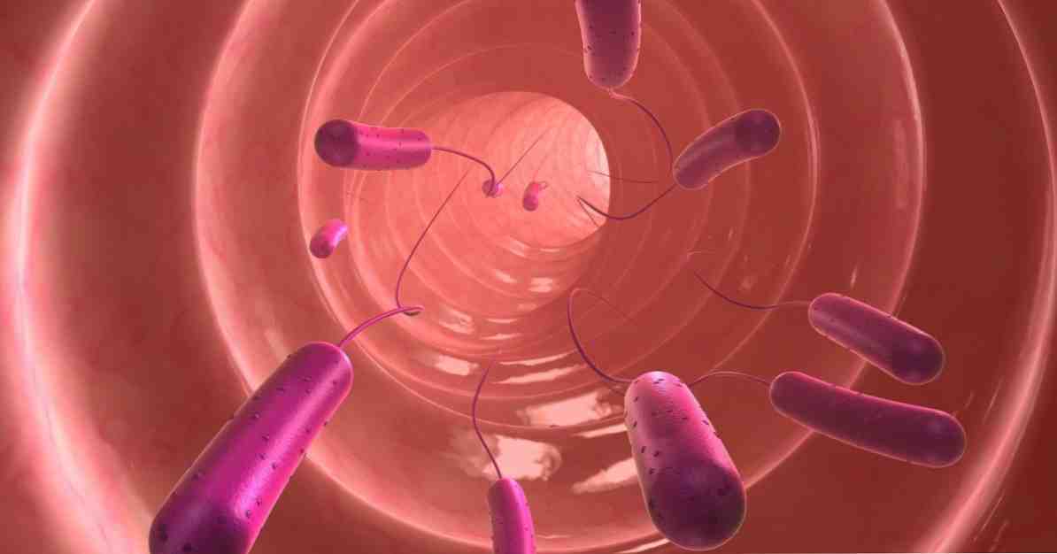 The parasit yang menyebabkan Toxoplasmosis mengawal minda dan menyebabkan gangguan psikologi dan bunuh diri / Neurosains