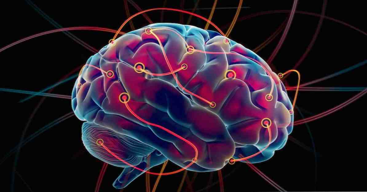 Definizione e applicazioni di stimolazione elettrica transcranica / neuroscienze