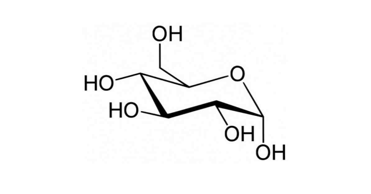 Глюколизата какво е това и какви са нейните 10 фази? / Медицина и здраве