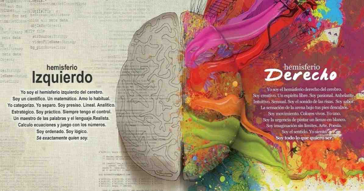 Mitos e realidades dos hemisférios cerebrais / Neurociências