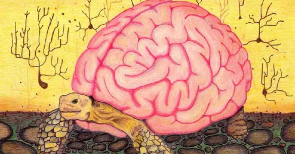Heuristisk de mentala genvägarna av mänsklig tanke / Kognition och intelligens