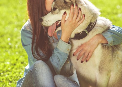 Videnskab tillod min hund at farve min verden / psykologi