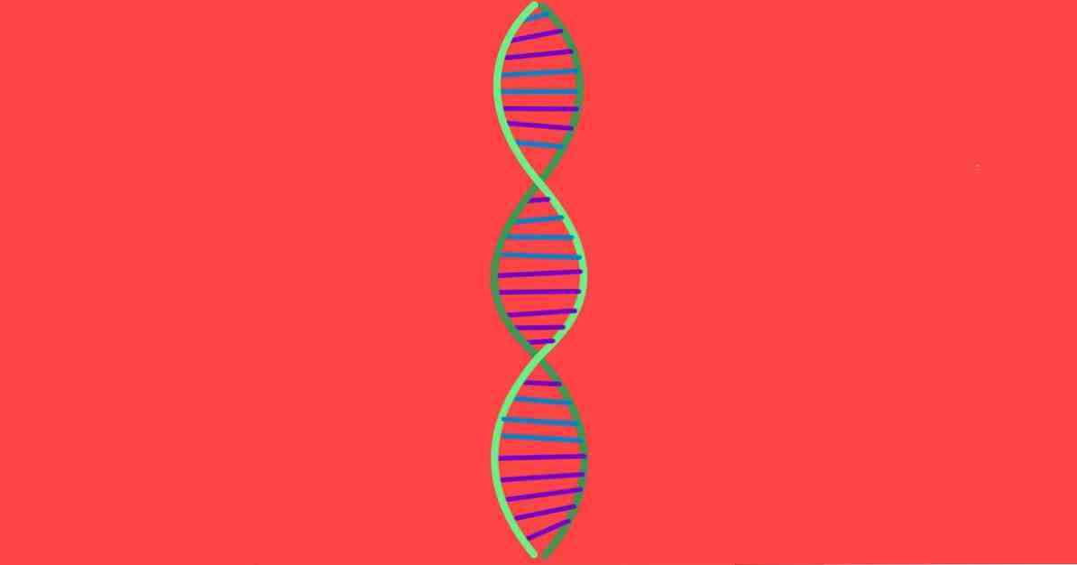 Der Einfluss der Genetik auf die Entwicklung von Angstzuständen