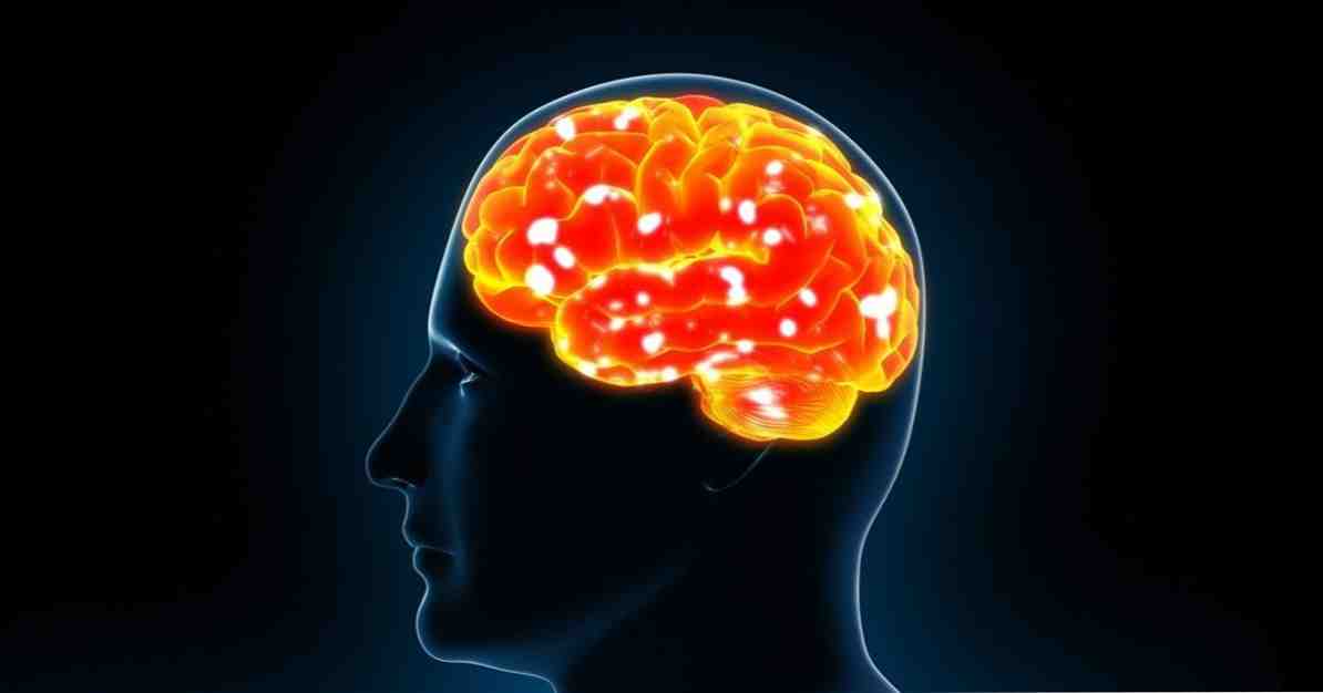 性格は免疫システムによって規制される可能性があります / 神経科学