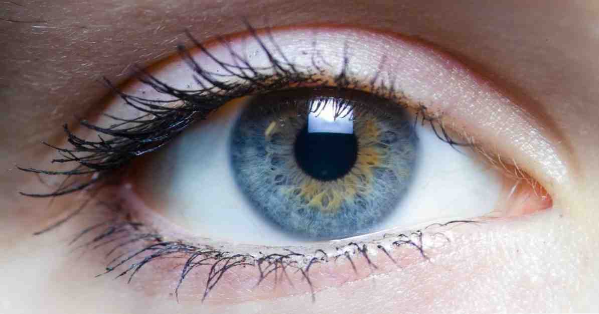 11 phần của mắt và chức năng của nó / Khoa học thần kinh