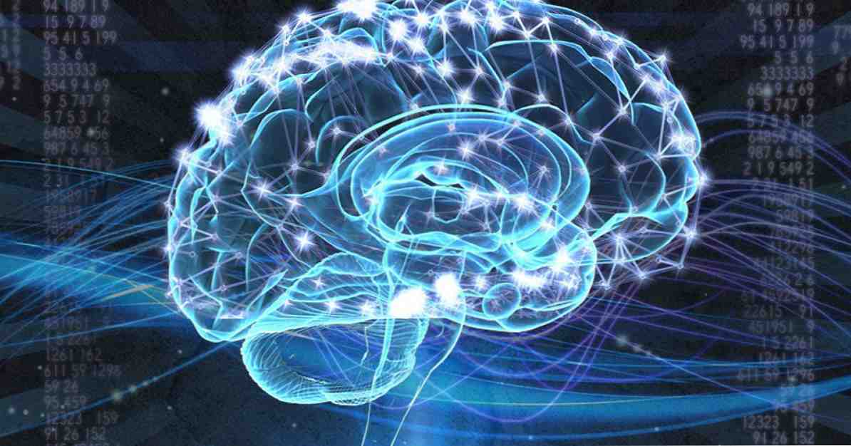 Les 5 théories hiérarchiques de l'intelligence / Cognition et intelligence