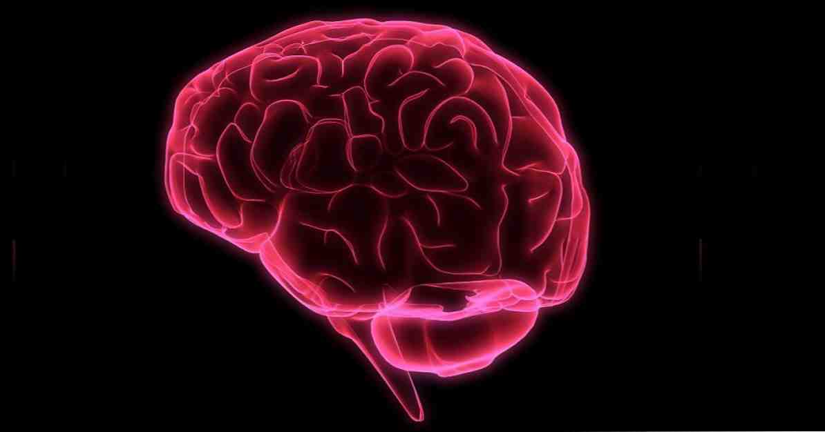 9 jalur dopaminergik dari tipe otak, fungsi dan gangguan terkait / Ilmu saraf
