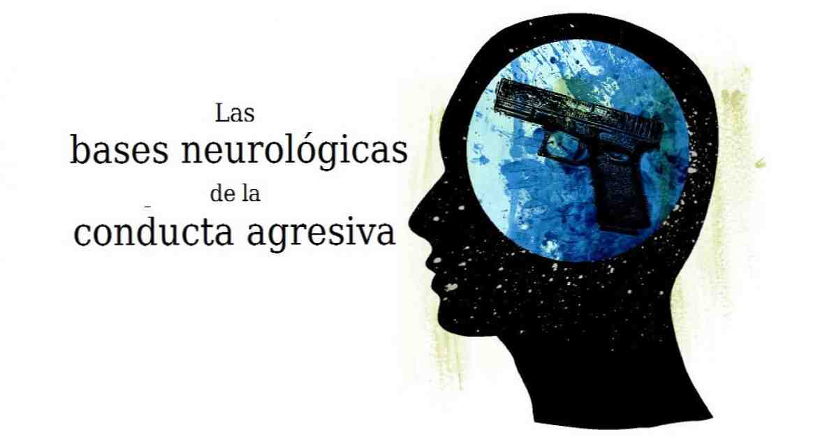 Neurologický základ agresívneho správania / neurovedy