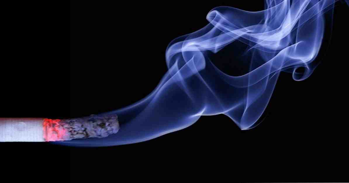 담배 의존의 두 가지면 (화학적, 심리적)