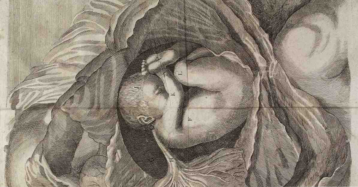 Les 13 types d'avortement (et leurs effets psychologiques et physiques) / Médecine et santé