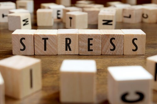 5 labiausiai įdomūs streso privalumai, ar žinote juos? / Kultūra