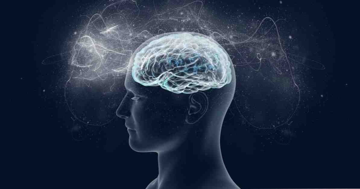 5 nejlepších mistrů v neuropsychologii / Klinická psychologie