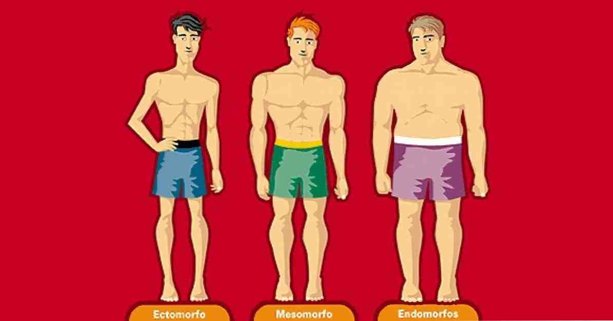 7 סוגי הגוף (או somatotypes) מה הם?