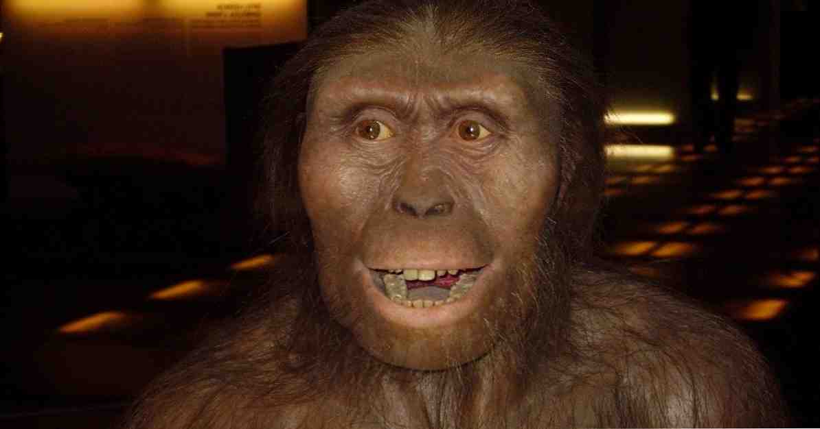 Australopithecus ลูซี่แบบนั้นคือฟอสซิลที่เปลี่ยนแปลงทุกอย่าง