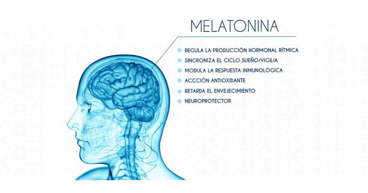 Melatonin, hormon yang mengendalikan tidur dan ritme musiman / Ilmu saraf
