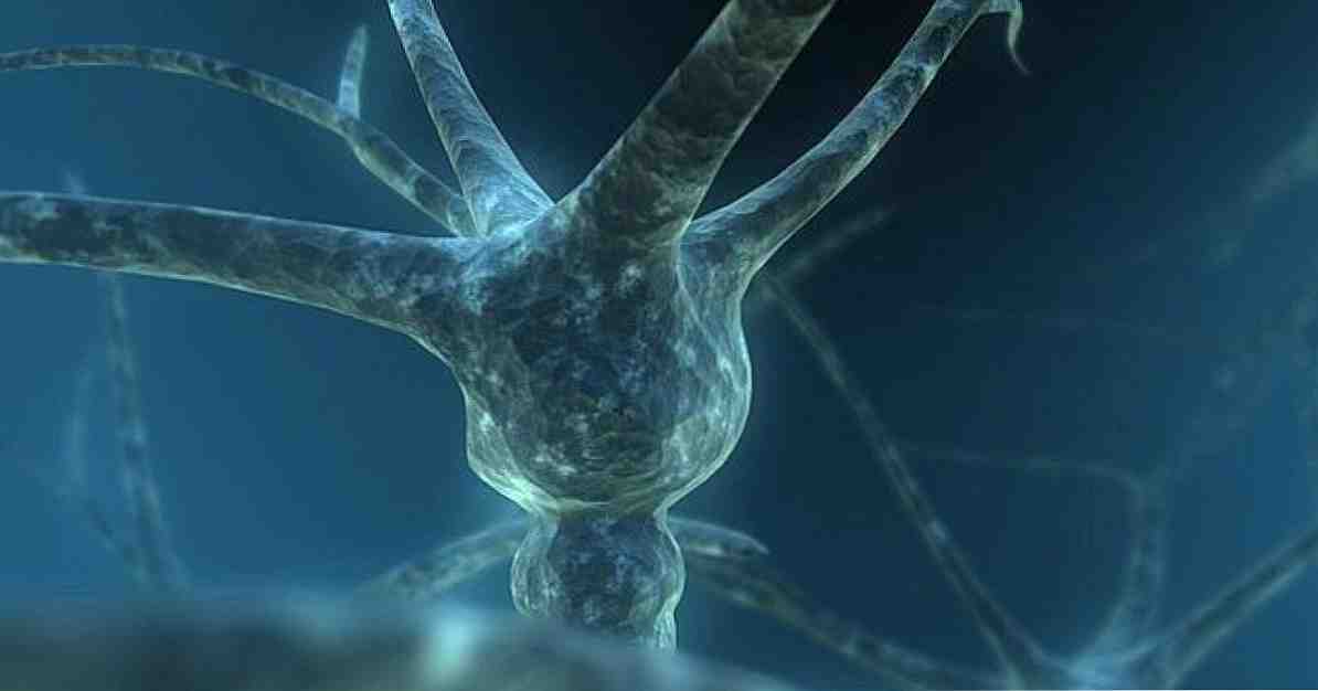Moartea neuronală, ce este și de ce este produsă? / neurostiinte