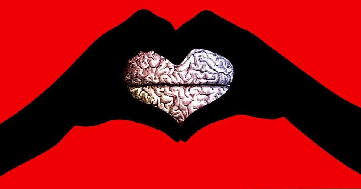 علم الأحياء العصبي من الحب نظرية 3 أنظمة الدماغ / علوم الأعصاب