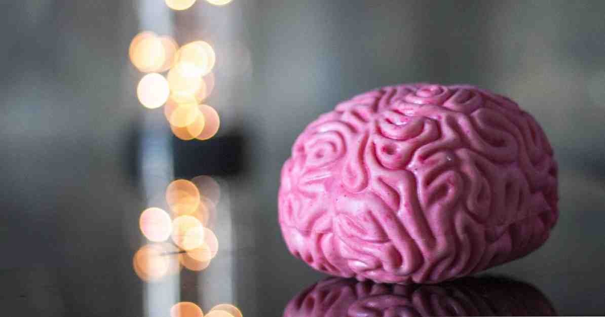 Kognitiv neurovidenskabshistorie og studiemetoder / neurovidenskab