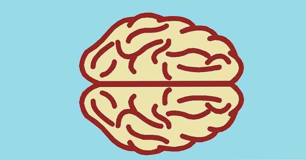 Ilmu saraf adalah cara baru untuk memahami pikiran manusia / Ilmu saraf