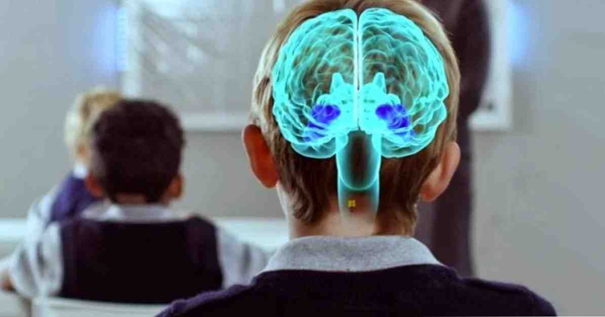 Neuroeducation neuroscience založené učení