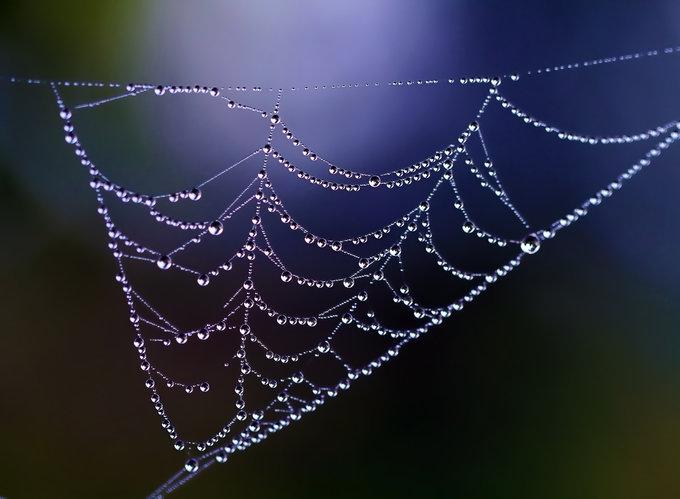 Neexistuje žádná šance, existuje synchronicita / Kultura