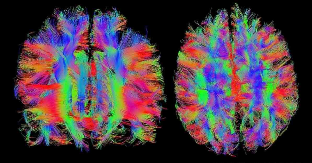 Kunnen we het getuigenis van getuigen en slachtoffers van een misdrijf vertrouwen? / psychologie