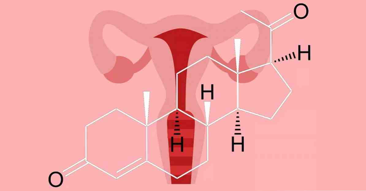 Progesteron özellikleri ve bu seks hormonunun işlevleri / neuroscıences