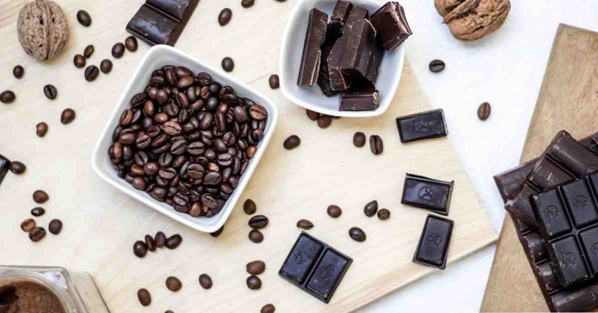Hva skjer i hjernen din når du spiser sjokolade eller kakao? / ernæring